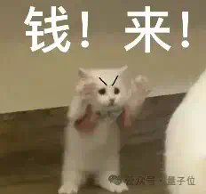 5.28亿融资砸向杭州具身智能公司，清华叉院机器人天才坐镇，被称为“中国版Figure”  第1张