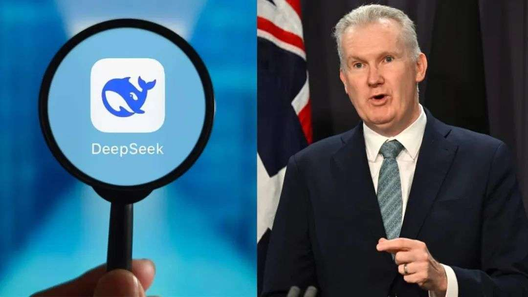 针对DeepSeek，澳大利亚发禁令  第1张
