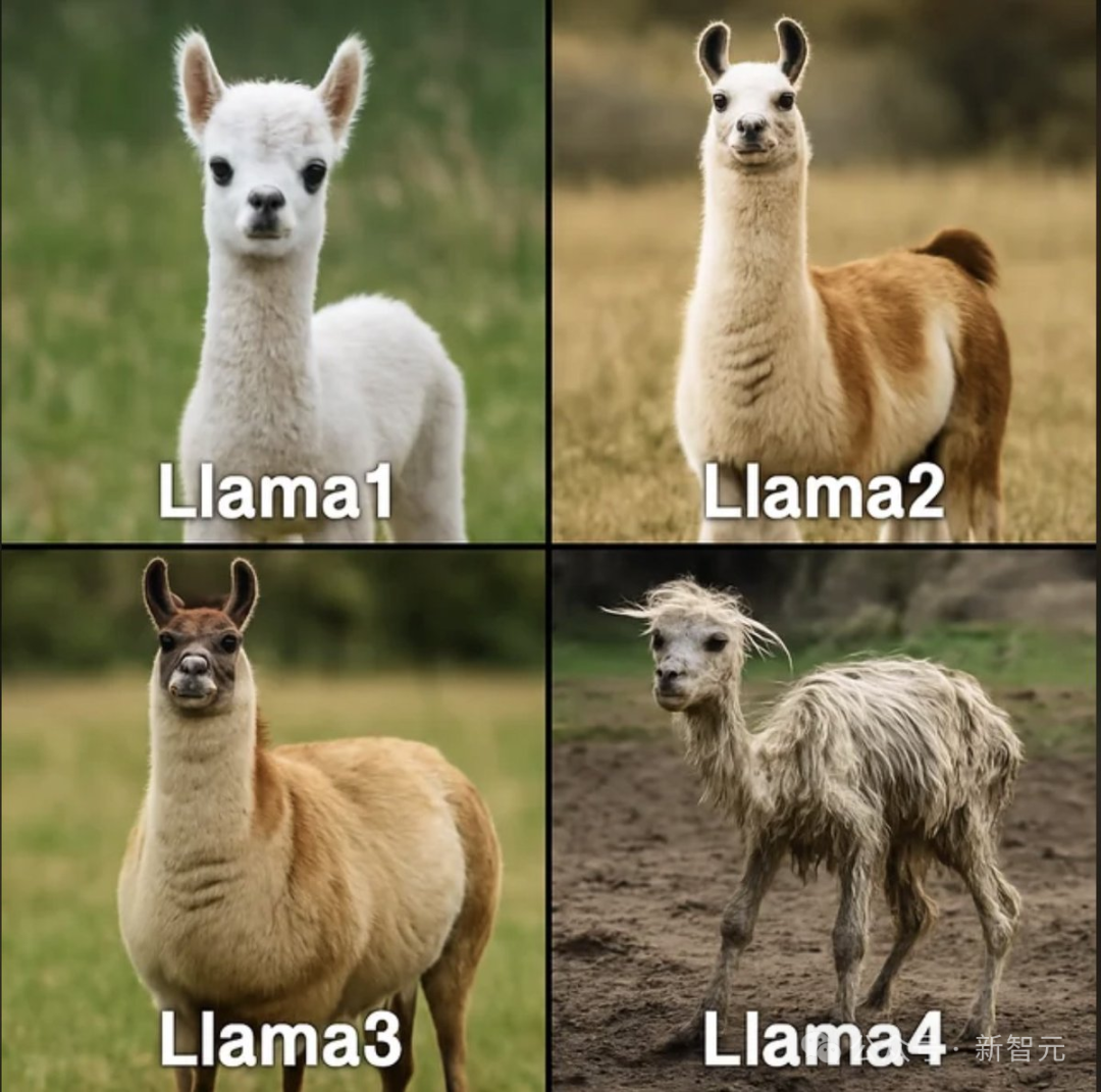 Llama 4万亿巨兽延期，80%核心元老集体辞职？  第7张