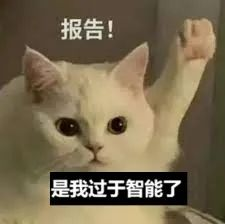 DALL·E 3内部实测效果惊人！Karpathy生成逼真灵动「美国小姐」，50个物体一图全包  第22张
