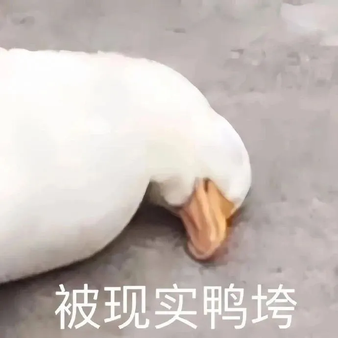 月之暗面创始人被仲裁事件的业内解读（全网最细解读）  第3张