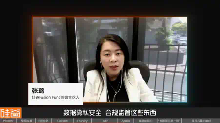 从追缉本·拉登到AI战争，解密Palantir的崛起之路  第33张