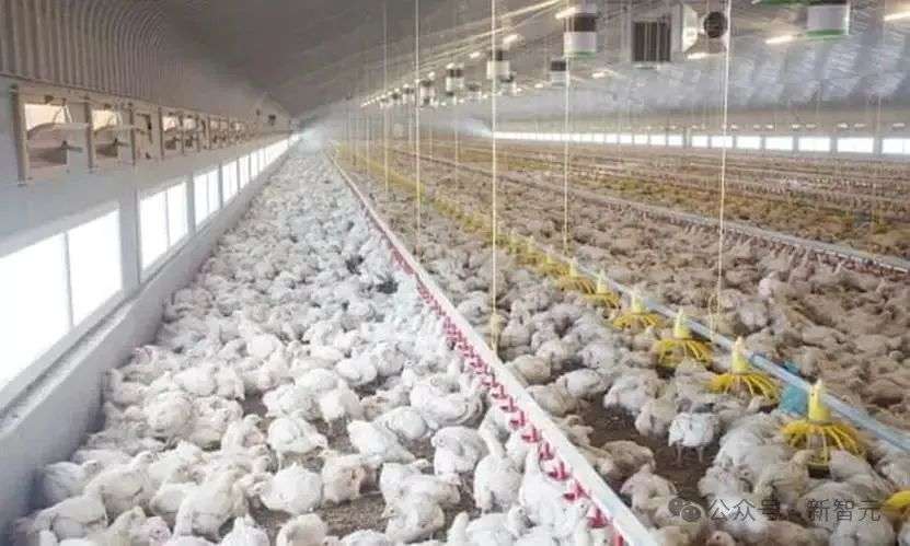 AI破解宠物心声，读懂你的猫狗？全球首个AI与动物感知中心揭秘  第3张