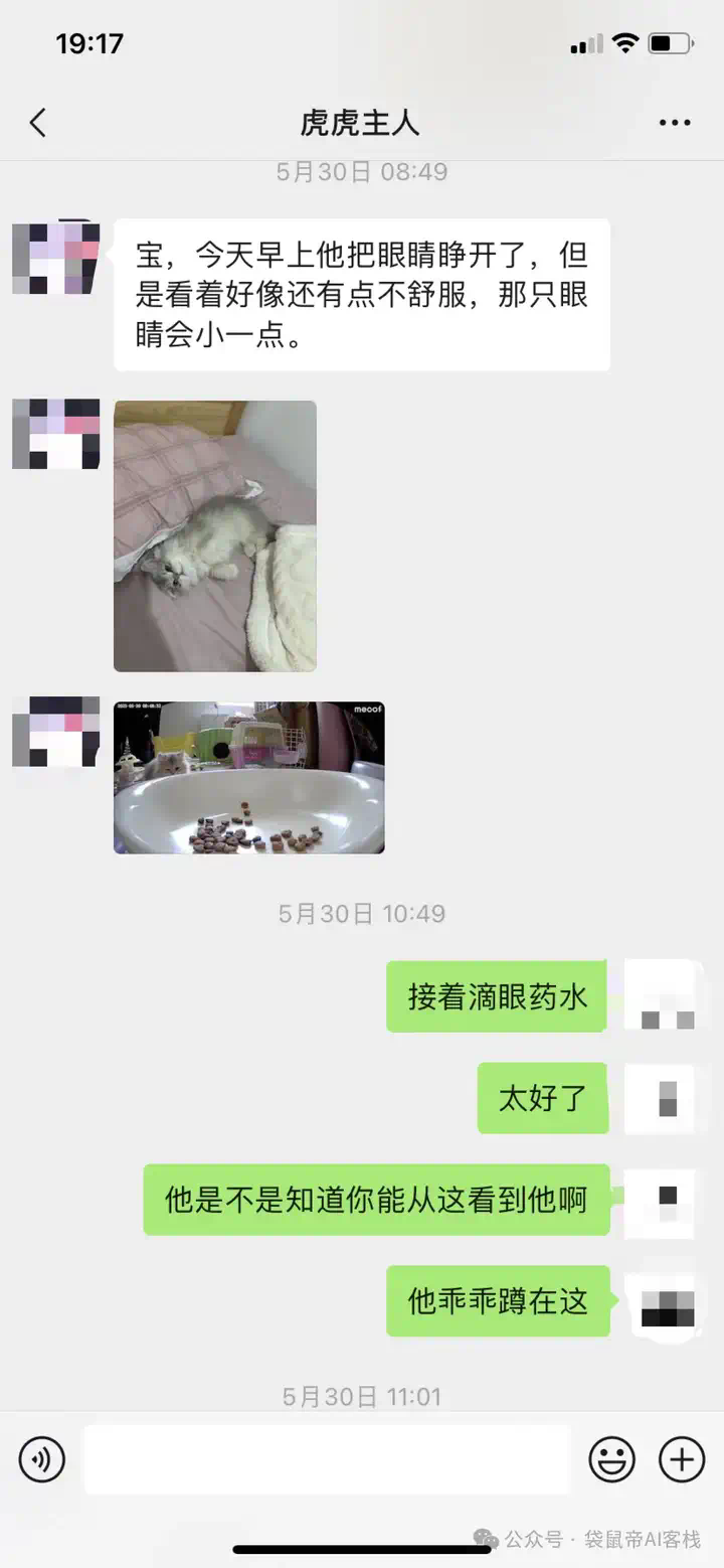 RAG天花板！从0到1打造商用Agent【喂了1G资料】  第2张