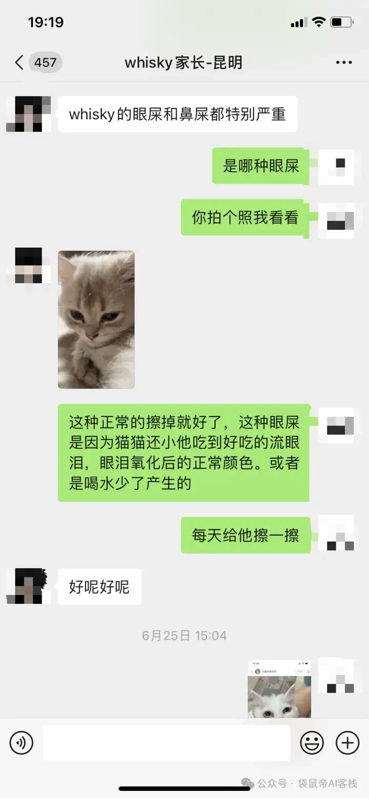 RAG天花板！从0到1打造商用Agent【喂了1G资料】  第3张