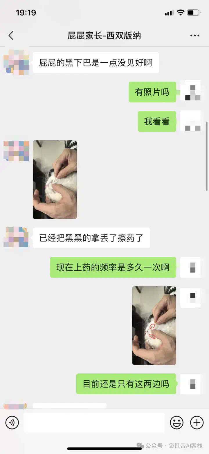 RAG天花板！从0到1打造商用Agent【喂了1G资料】  第5张