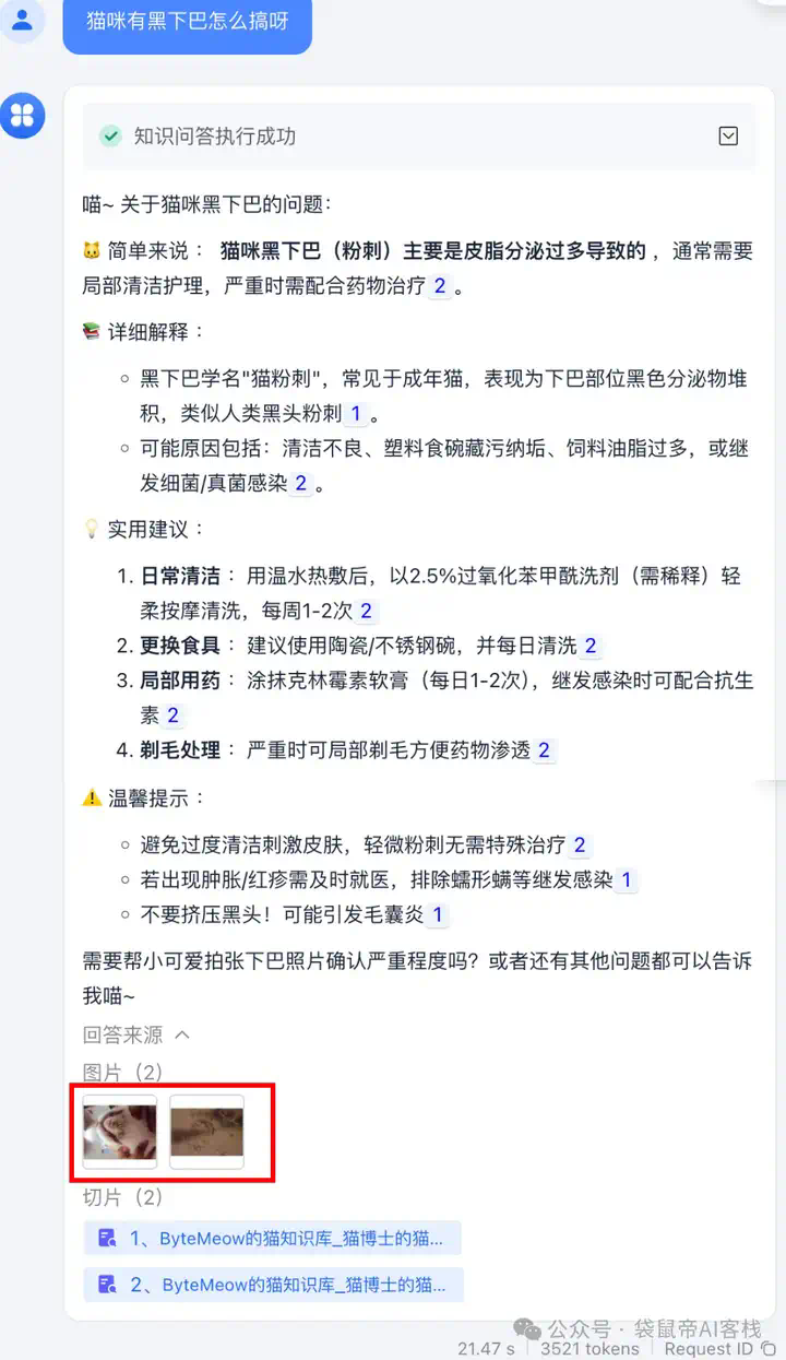 RAG天花板！从0到1打造商用Agent【喂了1G资料】  第30张