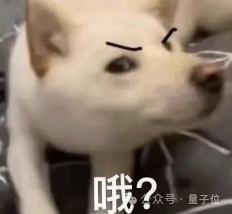 全球最大开源视频模型，现在也Created in China了，阶跃出品  第2张