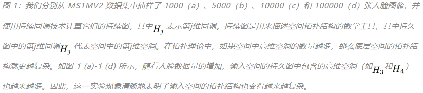NeurIPS 2024 - FaceChain团队新作，开源拓扑对齐人脸表征模型TopoFR  第5张