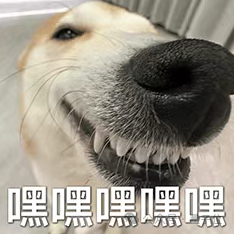 长得这么“乖”的人形机器人，第一次见  第13张