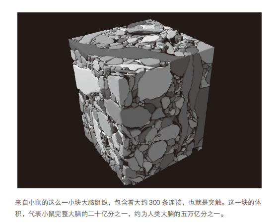 万字追问：人类需要AI，还是更需要自身AI化？  第6张