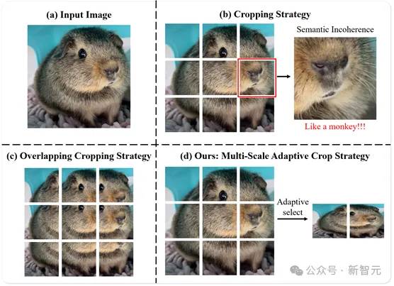 2B多模态新SOTA！华科、华南理工发布Mini-Monkey，专治「切分增大分辨率」后遗症  第3张