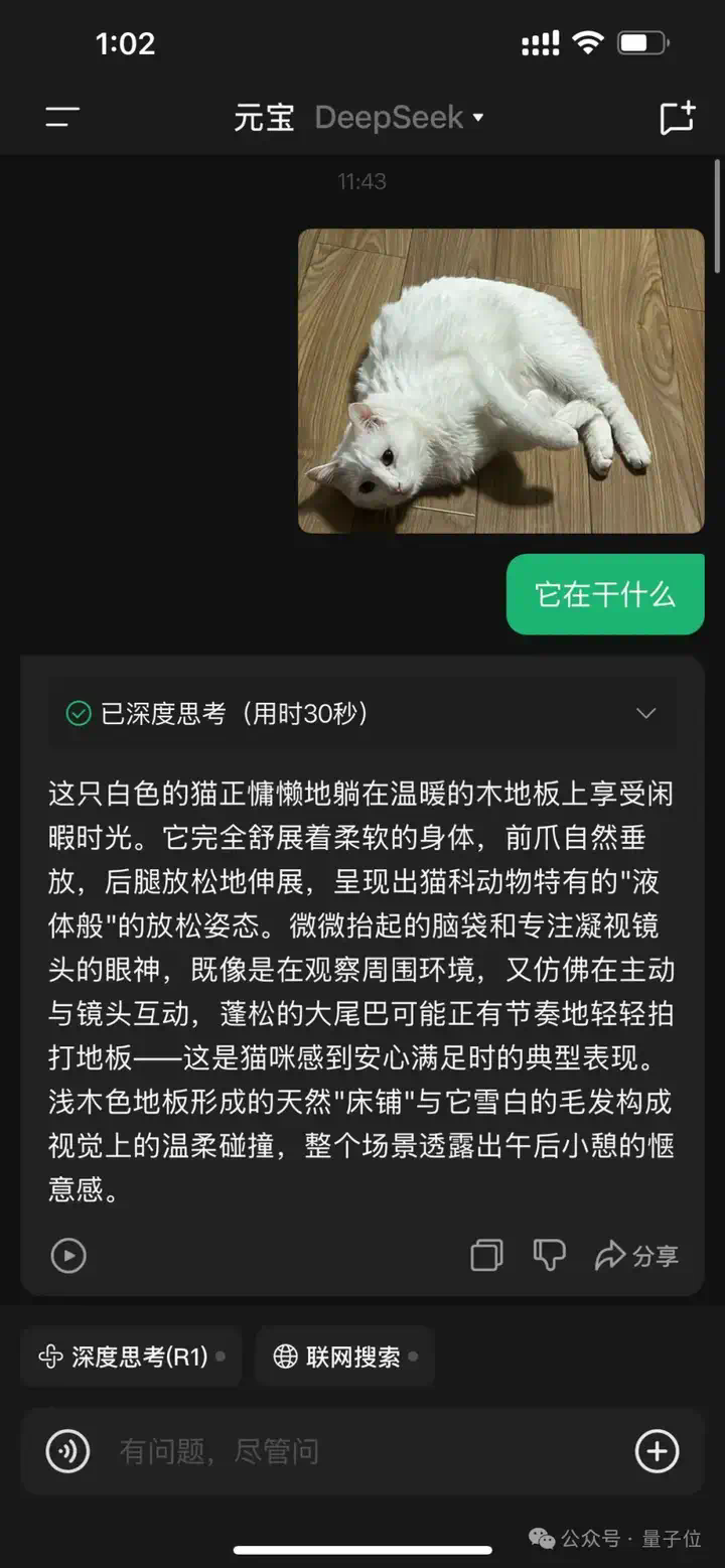 刚刚，DeepSeek能看懂猫片了！腾讯混元加持  第6张