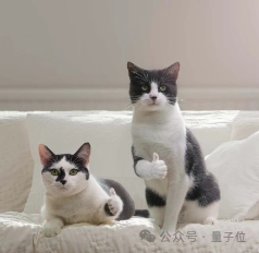 3D版DeepSeek卷起开源月：两大基础模型率先SOTA！又是VAST  第27张