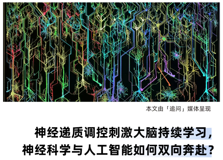 Nature：让AI自适应学习，需要先给它装个多巴胺系统吗？  第1张
