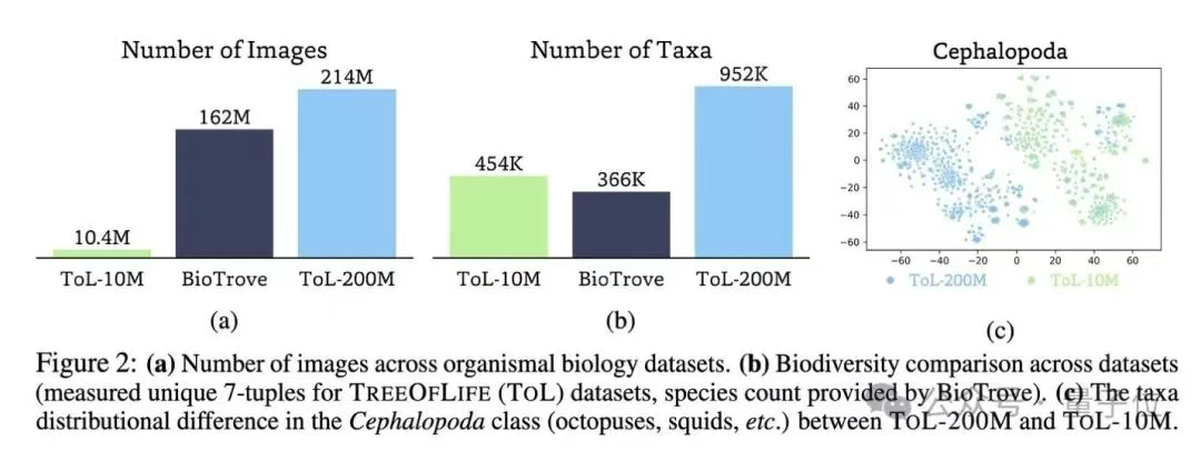 AI一眼认出95万物种，还能分辨雄雌老幼，2亿生物图像炼成“生命视觉”大模型  第2张