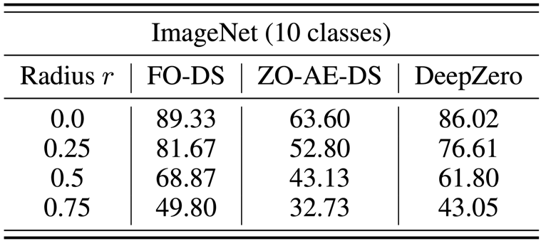 ICLR 2024 - 首个零阶优化深度学习框架，MSU联合LLNL提出DeepZero  第6张