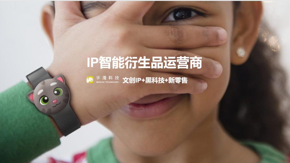 已和多家头部IP合作，这家AI陪伴机器人公司获数千万元A轮融资  第1张