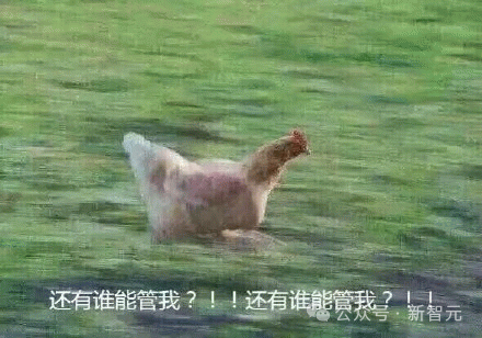 AI机器人席卷CES！OpenAI暗自解除ChatGPT军事应用限制，天网来了？  第23张