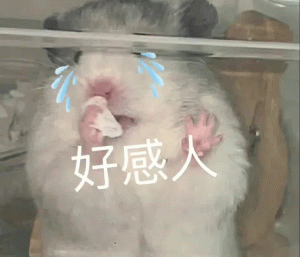 Anthropic最新研究：Claude正悄悄进化为“情绪价值大师”  第2张