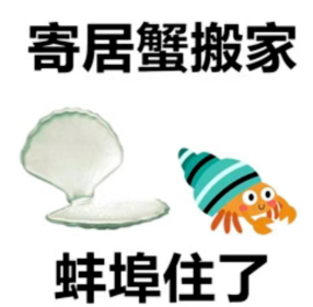 我发现了一个几乎不可能被 AI 替代的工作  第11张