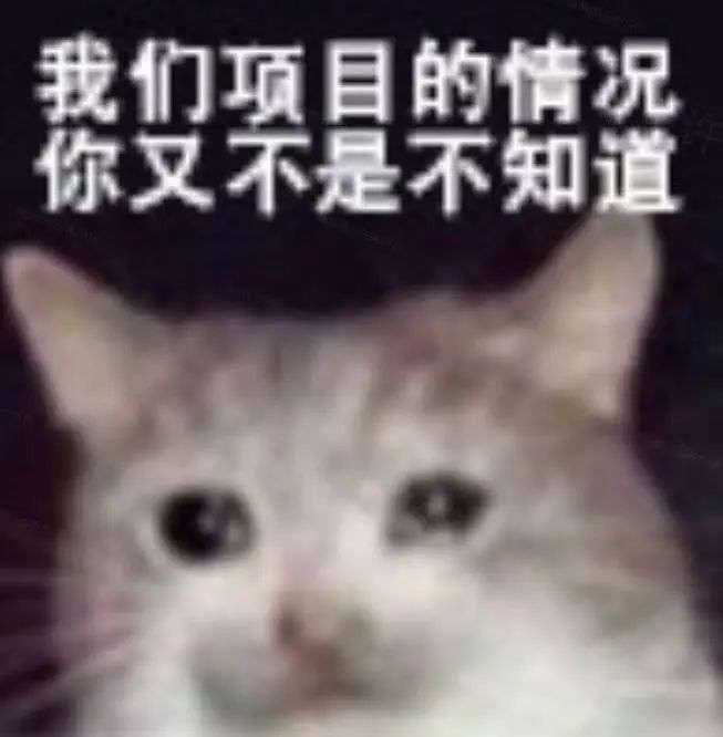 我发现了一个几乎不可能被 AI 替代的工作  第17张