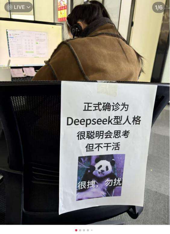 我已确诊为“DeepSeek人格”：勿扰  第3张