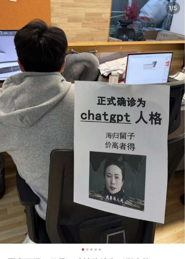 我已确诊为“DeepSeek人格”：勿扰  第6张