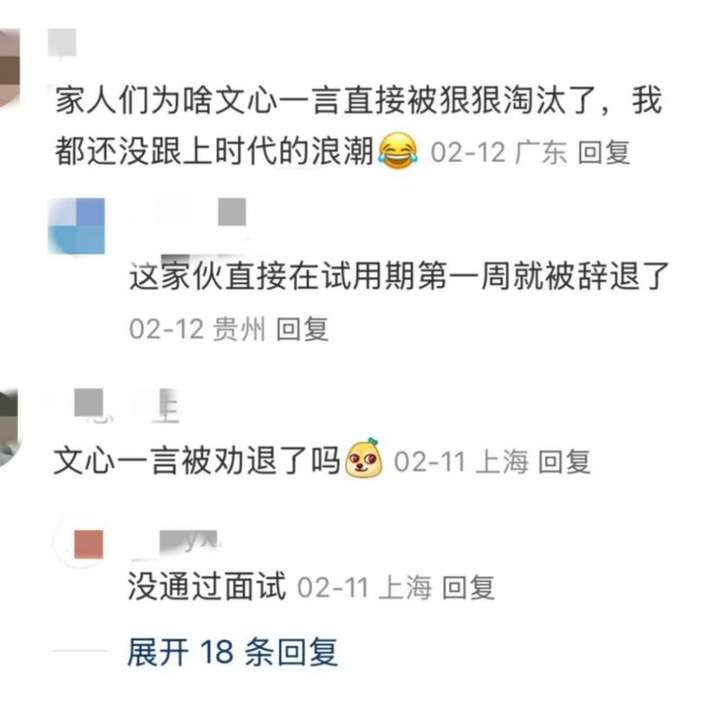 我已确诊为“DeepSeek人格”：勿扰  第8张