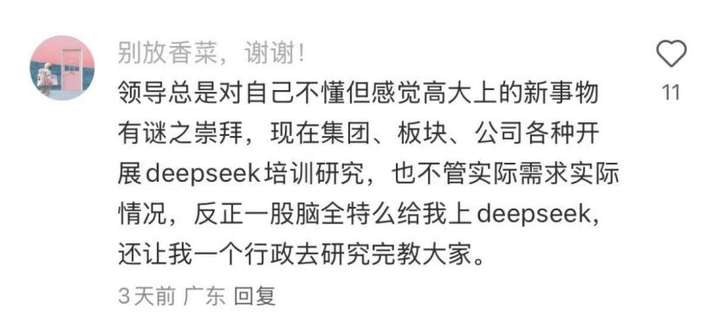 我已确诊为“DeepSeek人格”：勿扰  第11张