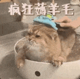 国产Deep Research杀出一匹「裸奔」黑马：免费开放，过程透明，网页报告一键即出  第18张