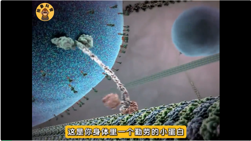 单月抖音涨粉超45万，AI Rapper科普硬控百万网友  第2张