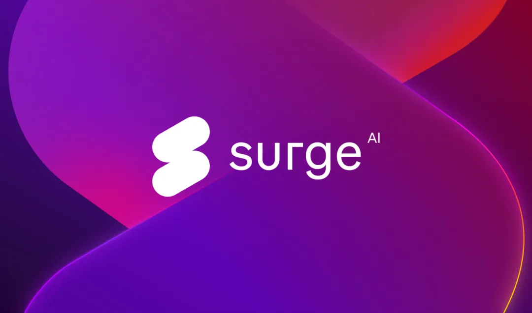 bootstrap 到十亿美元 ARR：Surge AI 这匹黑马如何颠覆 Scale 霸权 ？  第1张