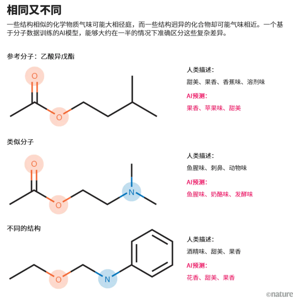AI能帮忙破解嗅觉密码吗？  第2张