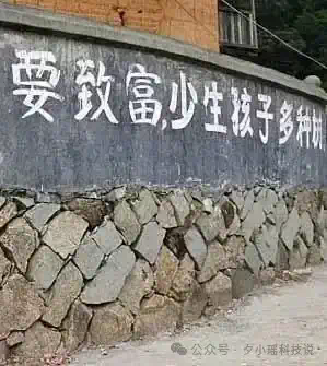“母猪产后护理，问腾讯元宝”，AI的广告已打进农村  第5张