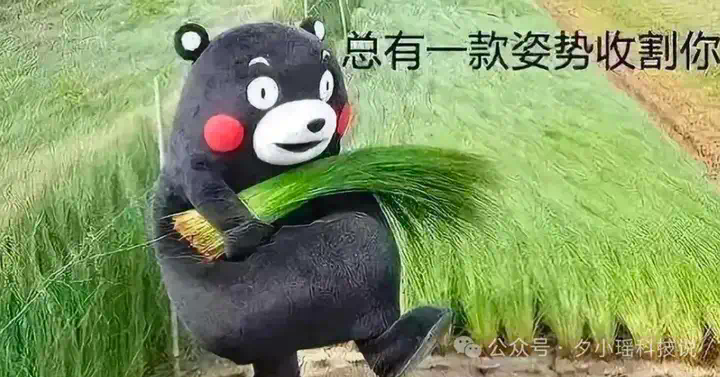 “母猪产后护理，问腾讯元宝”，AI的广告已打进农村  第7张