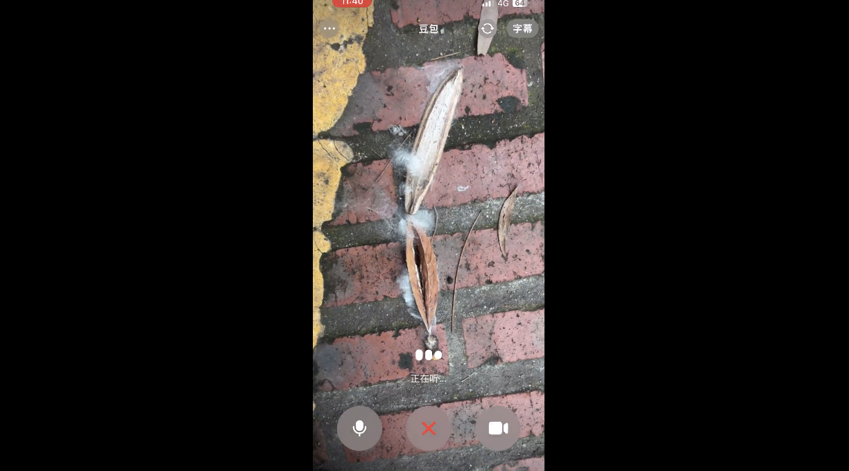 极限测试豆包视频通话，聊了一天一夜后我发现事情并不简单  第5张