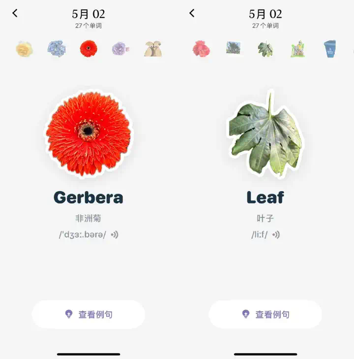 被多邻国“追杀”的我，逃到了这款爆款AI应用学英语  第10张