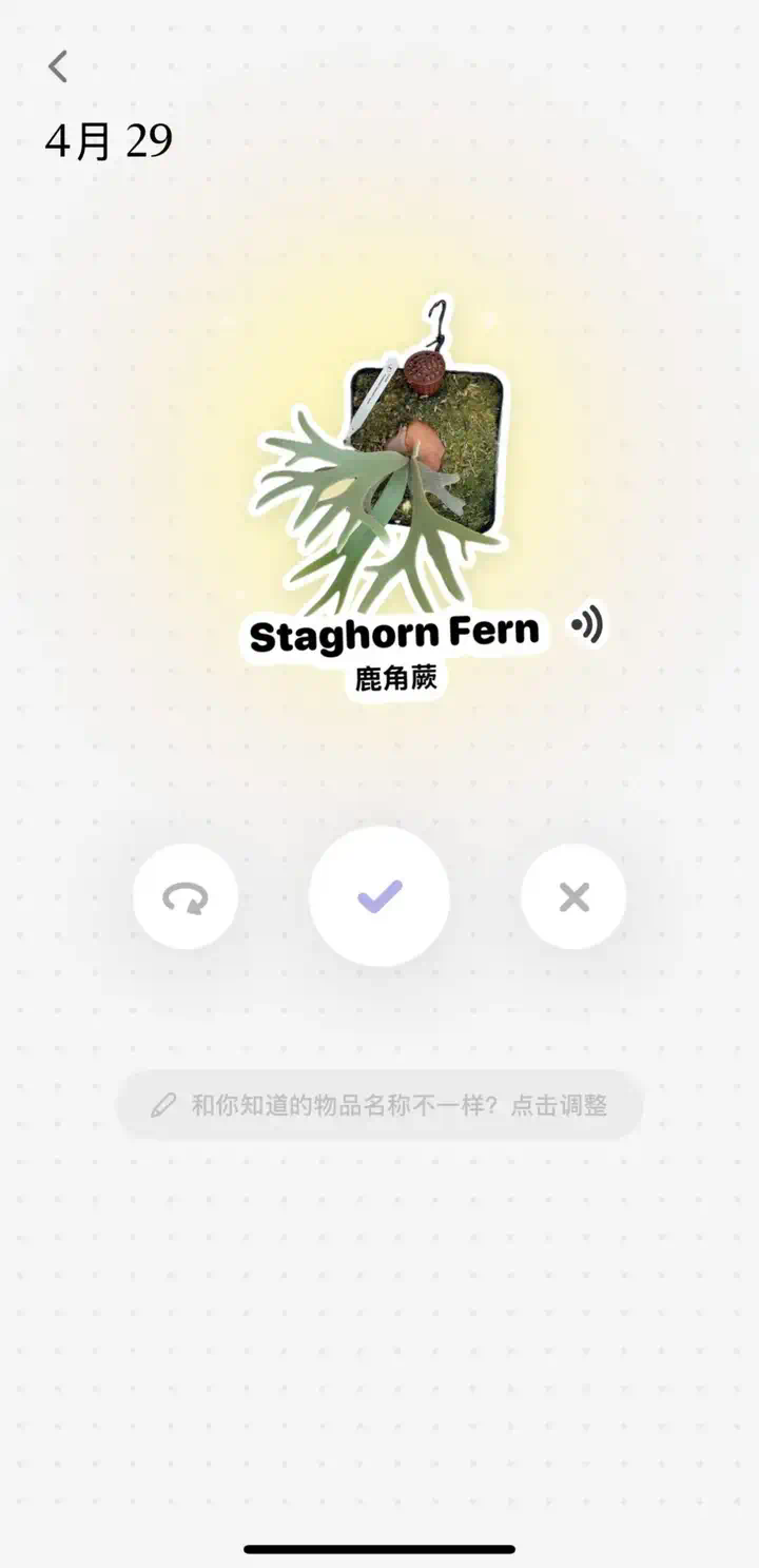 被多邻国“追杀”的我，逃到了这款爆款AI应用学英语  第9张