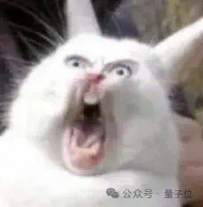 o3一张图锁定地球表面坐标，AI看图猜地点战胜人类大师，奥特曼：这是我的「直升机」时刻  第12张