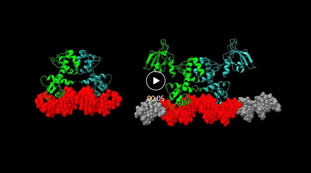 AlphaFold 3轻松应对核酸、脂类分子？科学家迫不及待地更新了评测  第3张