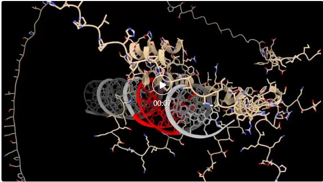 AlphaFold 3轻松应对核酸、脂类分子？科学家迫不及待地更新了评测  第2张