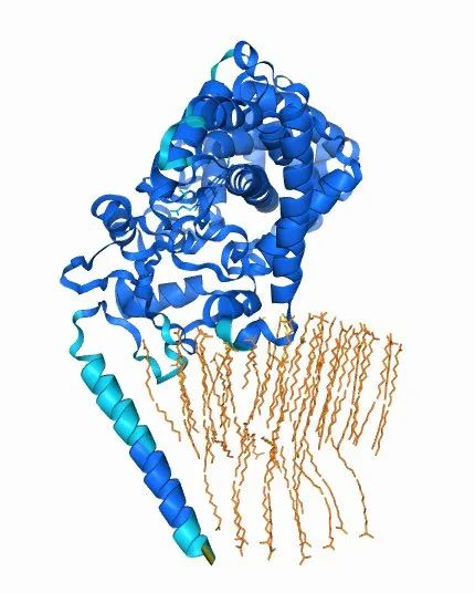 AlphaFold 3轻松应对核酸、脂类分子？科学家迫不及待地更新了评测  第10张