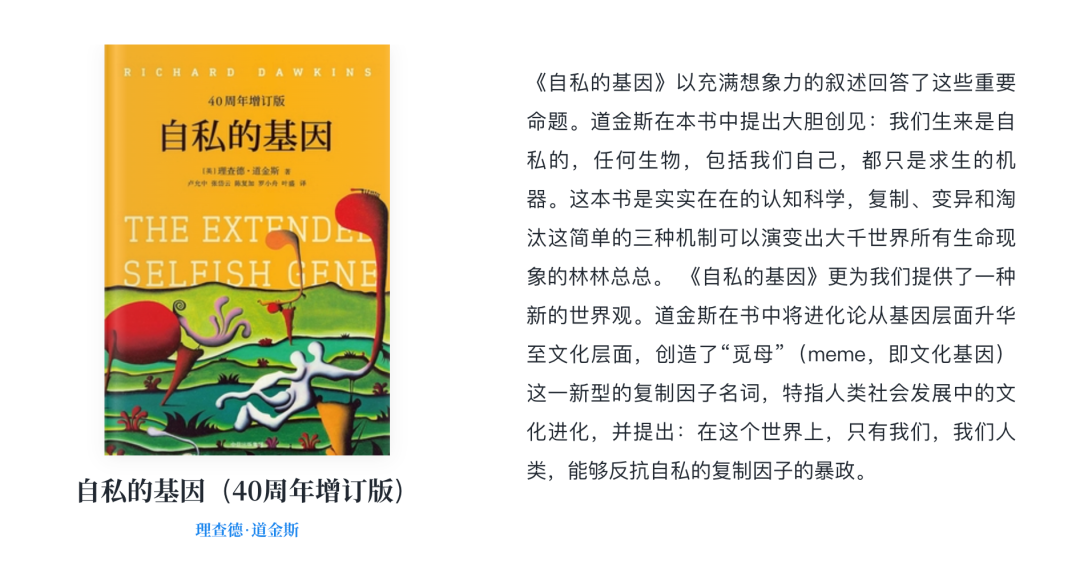 一年半了，AI 产品还没找到它的「张小龙」  第5张