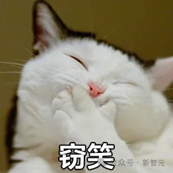 中国首个通用泛化机器人终于来了！清华校友打造中国版Figure 01，连续泛化丝滑处理多任务  第8张
