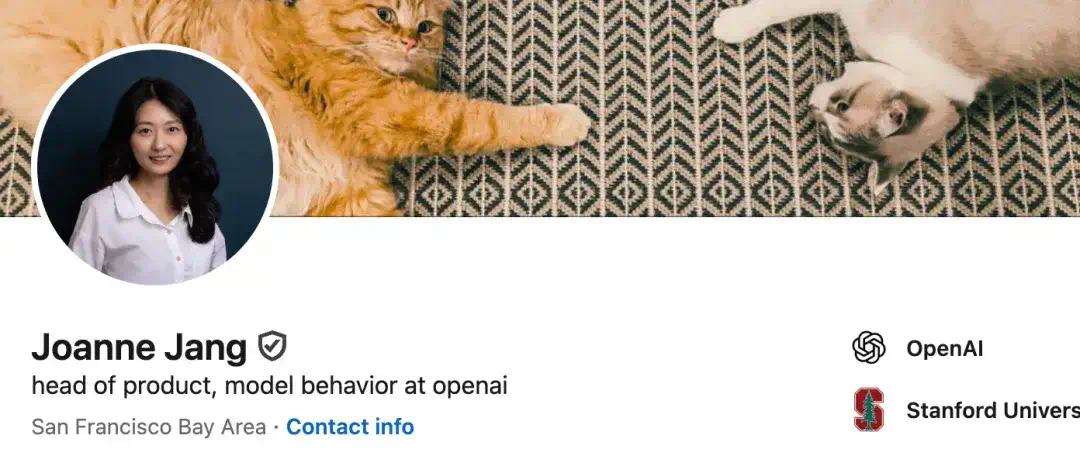 OpenAI 高管深度剖析 ChatGPT 意识形成：AI 越像人，设计者越不能装作什么都没发生  第1张