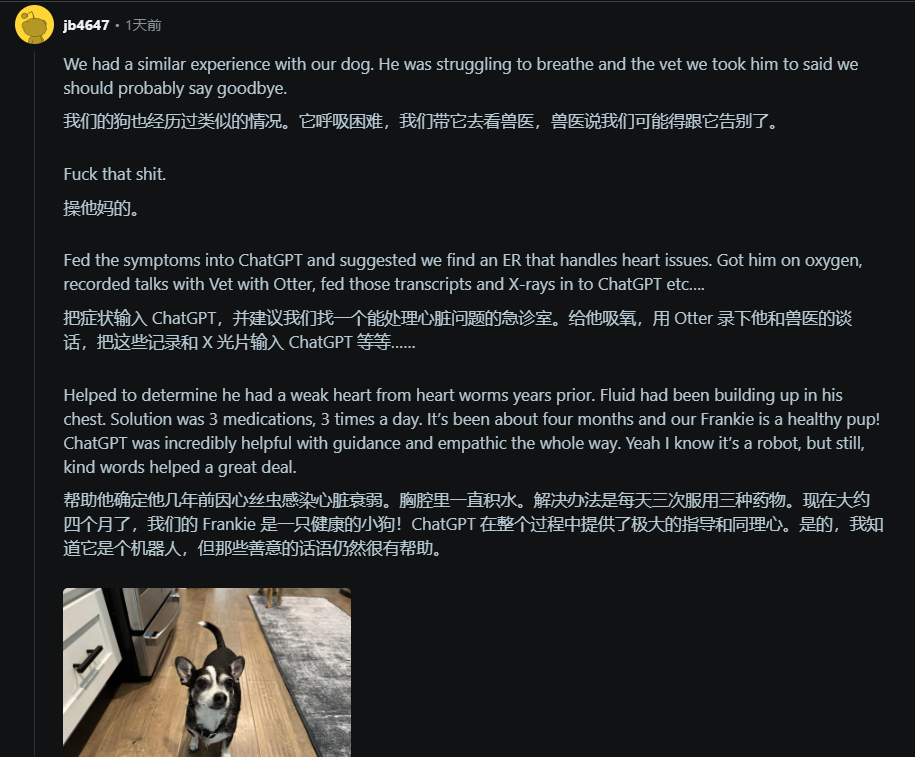 求医十年，病因不明，ChatGPT：你看起来有基因突变  第3张