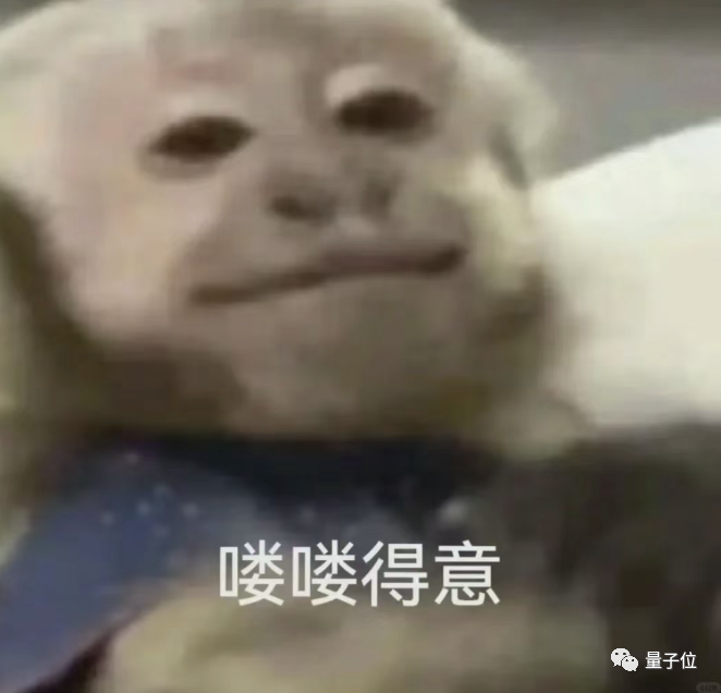 北大最新多模态大模型开源：在混合数据集上训练，无需修改直接用到图像视频任务  第6张