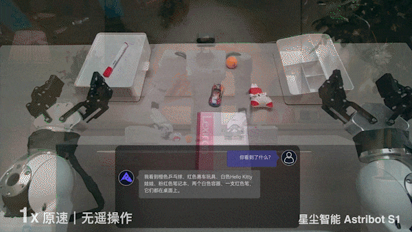 会颠勺的国产机器人来了：大模型加持，家务能力满分_1  第4张