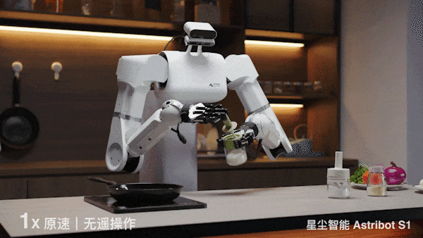 会颠勺的国产机器人来了：大模型加持，家务能力满分_1  第7张